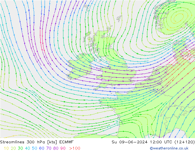 ветер 300 гПа ECMWF Вс 09.06.2024 12 UTC