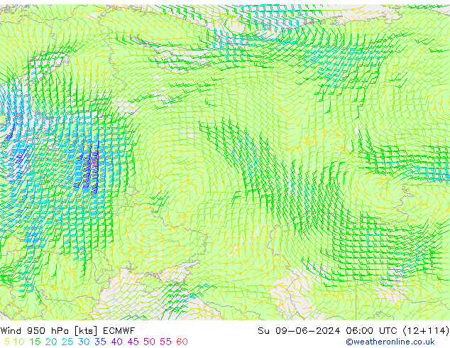 Wind 950 hPa ECMWF Su 09.06.2024 06 UTC