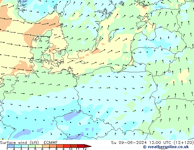 Vento 10 m (bft) ECMWF Dom 09.06.2024 12 UTC