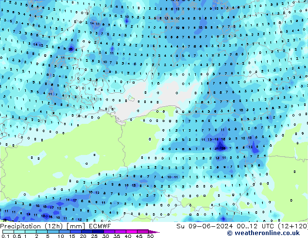 Precipitação (12h) ECMWF Dom 09.06.2024 12 UTC