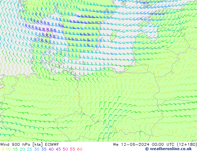 ветер 900 гПа ECMWF ср 12.06.2024 00 UTC