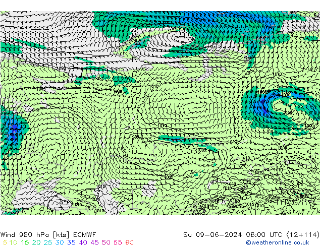 Rüzgar 950 hPa ECMWF Paz 09.06.2024 06 UTC