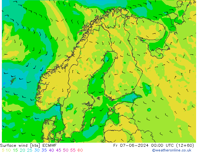 Wind 10 m ECMWF vr 07.06.2024 00 UTC