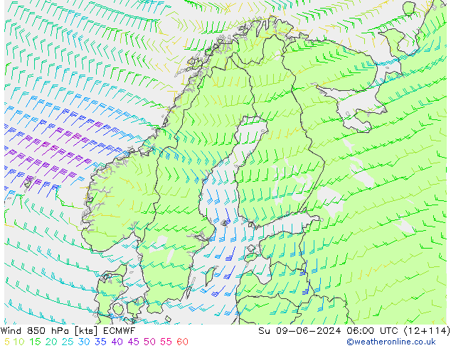 wiatr 850 hPa ECMWF nie. 09.06.2024 06 UTC