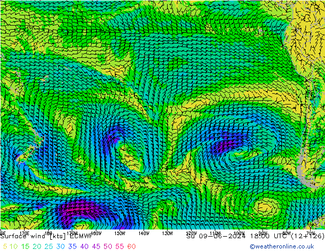 Surface wind ECMWF Ne 09.06.2024 18 UTC