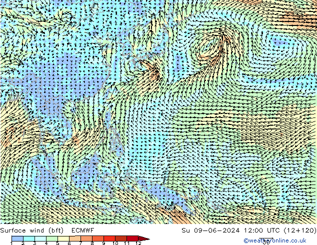 Surface wind (bft) ECMWF Su 09.06.2024 12 UTC