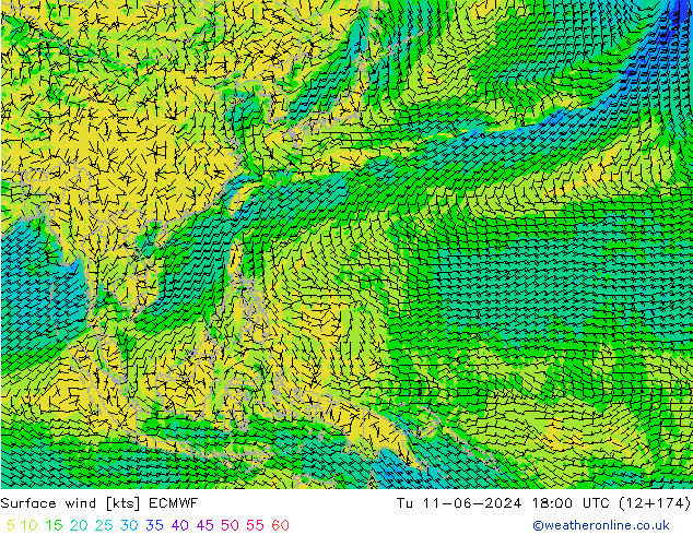 Vento 10 m ECMWF Ter 11.06.2024 18 UTC