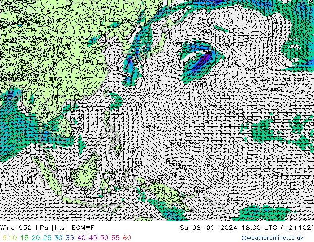 ветер 950 гПа ECMWF сб 08.06.2024 18 UTC