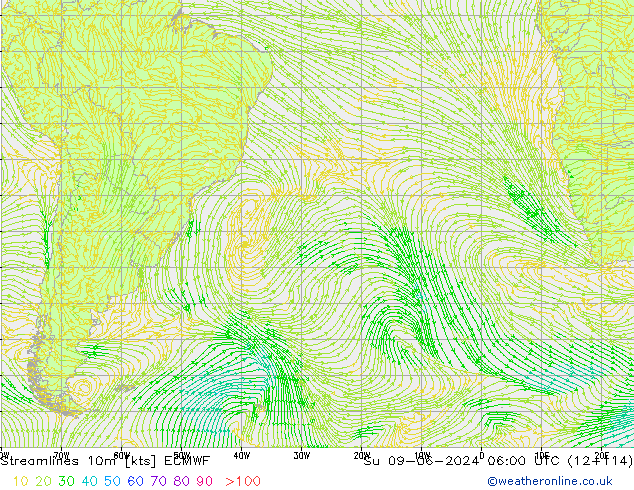 Ligne de courant 10m ECMWF dim 09.06.2024 06 UTC