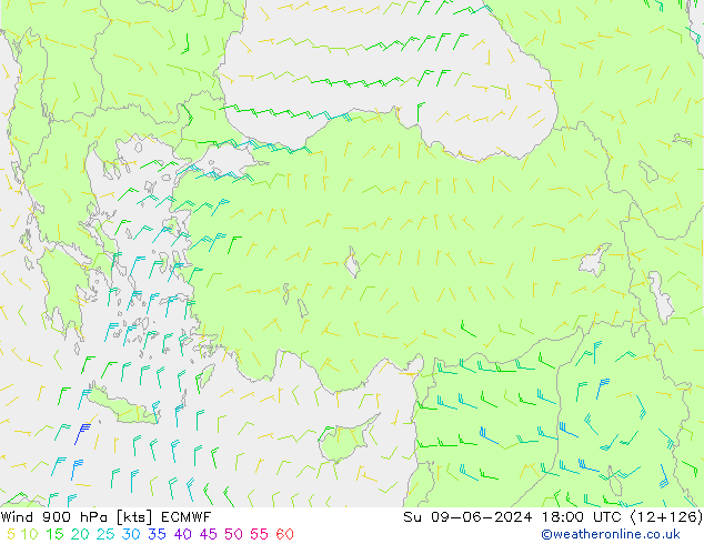 Rüzgar 900 hPa ECMWF Paz 09.06.2024 18 UTC