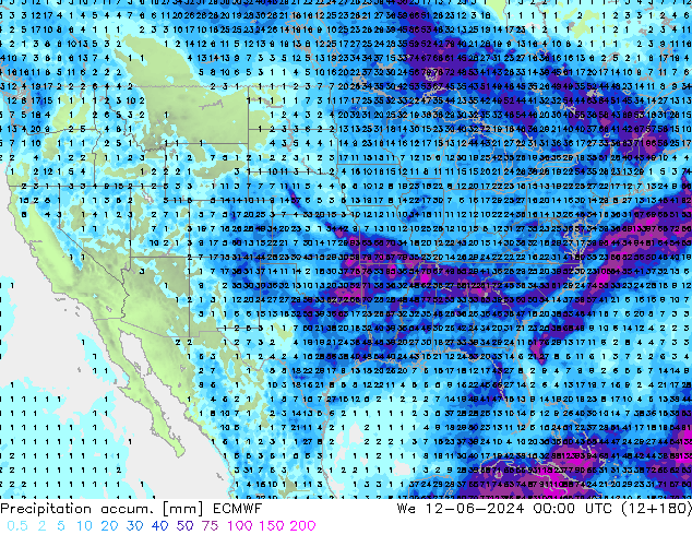 Toplam Yağış ECMWF Çar 12.06.2024 00 UTC