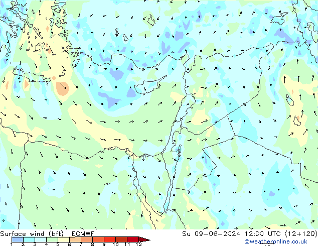 Wind 10 m (bft) ECMWF zo 09.06.2024 12 UTC