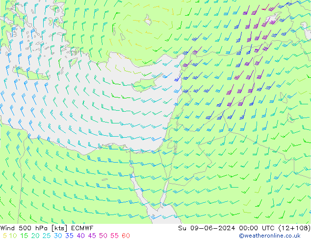 ветер 500 гПа ECMWF Вс 09.06.2024 00 UTC