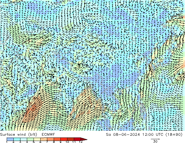 Surface wind (bft) ECMWF Sa 08.06.2024 12 UTC