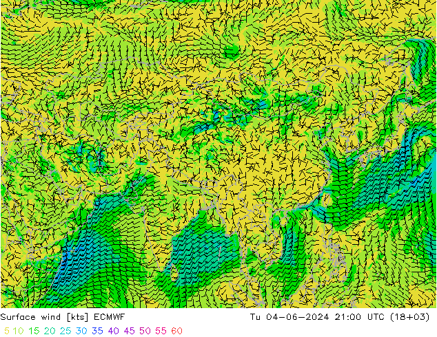 Surface wind ECMWF Tu 04.06.2024 21 UTC