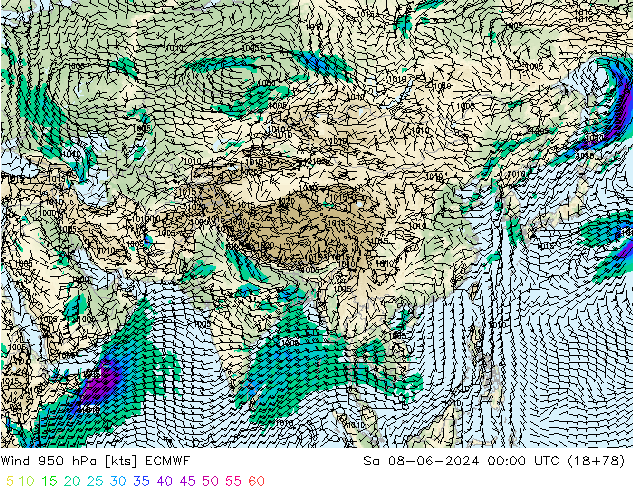 ветер 950 гПа ECMWF сб 08.06.2024 00 UTC