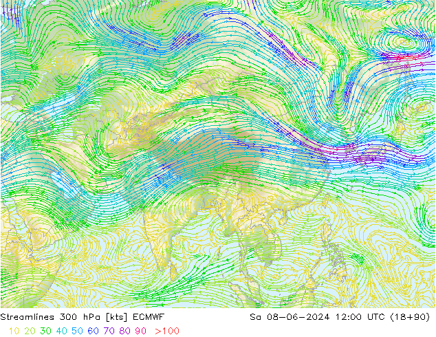 Linia prądu 300 hPa ECMWF so. 08.06.2024 12 UTC
