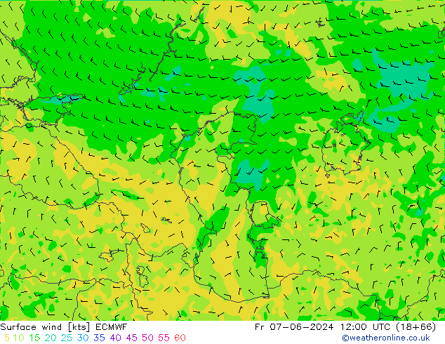 Surface wind ECMWF Fr 07.06.2024 12 UTC