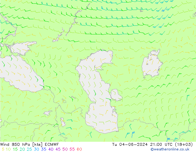 Viento 850 hPa ECMWF mar 04.06.2024 21 UTC