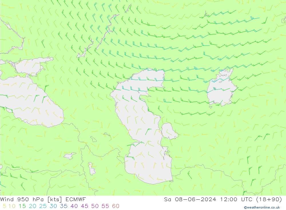 Rüzgar 950 hPa ECMWF Cts 08.06.2024 12 UTC