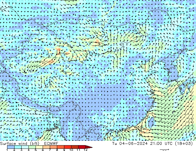 Surface wind (bft) ECMWF Tu 04.06.2024 21 UTC