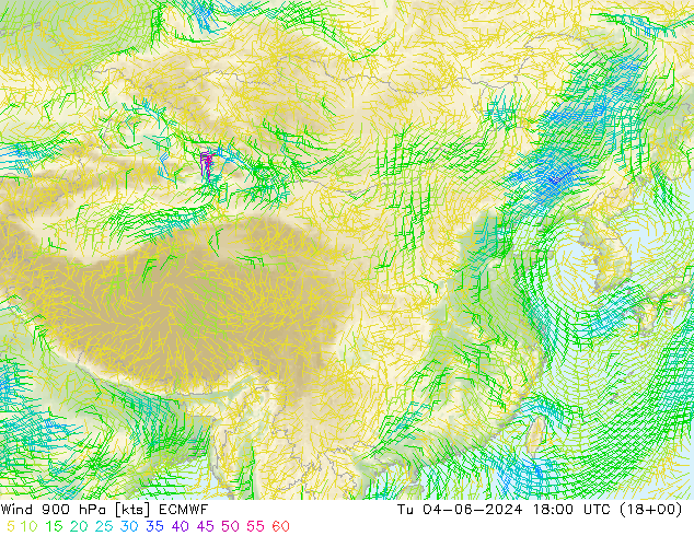 Wind 900 hPa ECMWF Tu 04.06.2024 18 UTC