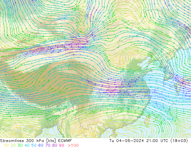 风 300 hPa ECMWF 星期二 04.06.2024 21 UTC