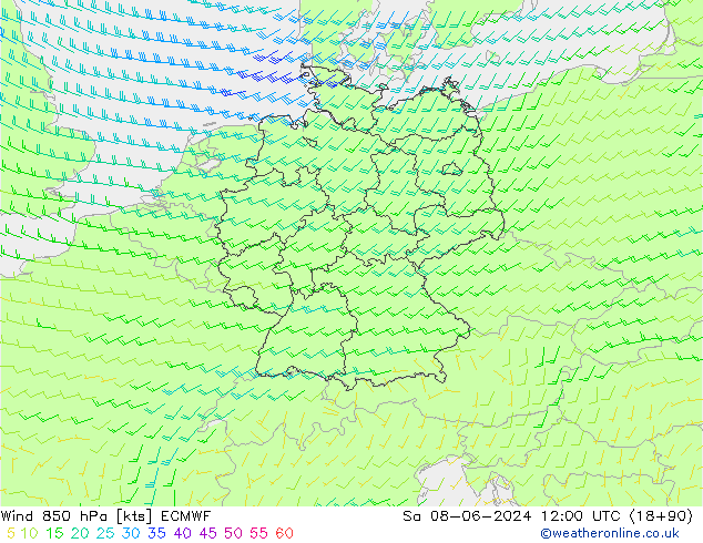 Wind 850 hPa ECMWF Sa 08.06.2024 12 UTC