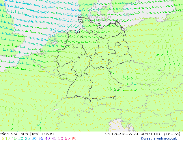 Vento 950 hPa ECMWF sab 08.06.2024 00 UTC