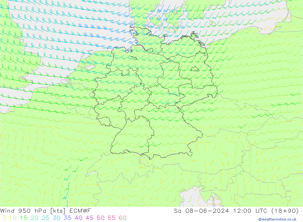 Wind 950 hPa ECMWF Sa 08.06.2024 12 UTC