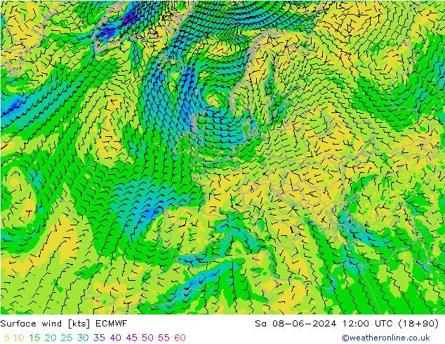 Surface wind ECMWF Sa 08.06.2024 12 UTC