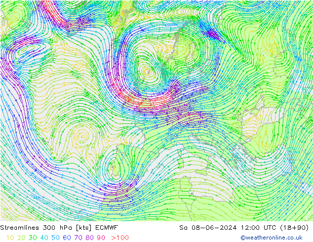 Stroomlijn 300 hPa ECMWF za 08.06.2024 12 UTC