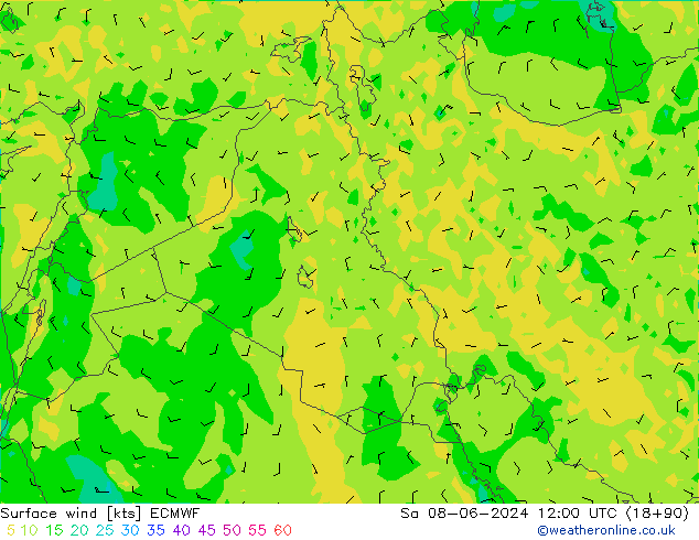 Vento 10 m ECMWF sab 08.06.2024 12 UTC