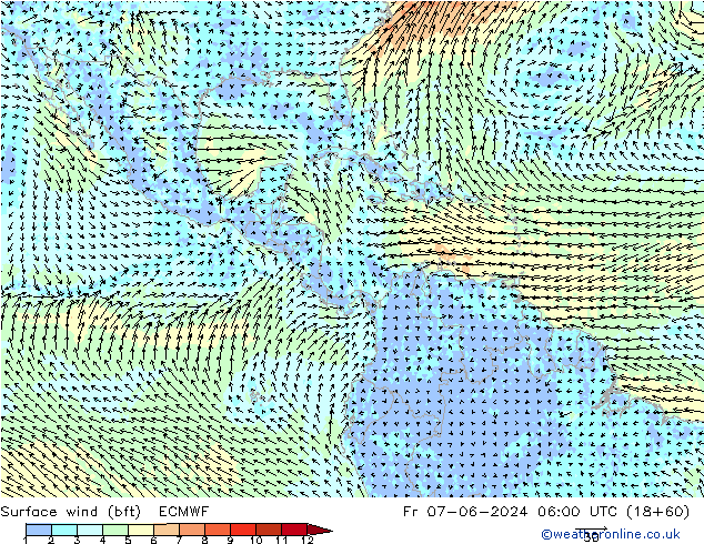  10 m (bft) ECMWF  07.06.2024 06 UTC