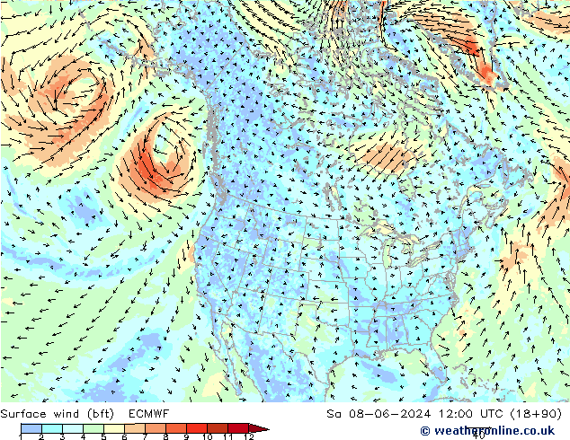 Surface wind (bft) ECMWF Sa 08.06.2024 12 UTC