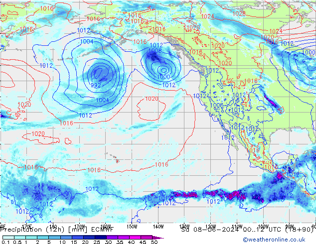 Precipitation (12h) ECMWF Sa 08.06.2024 12 UTC