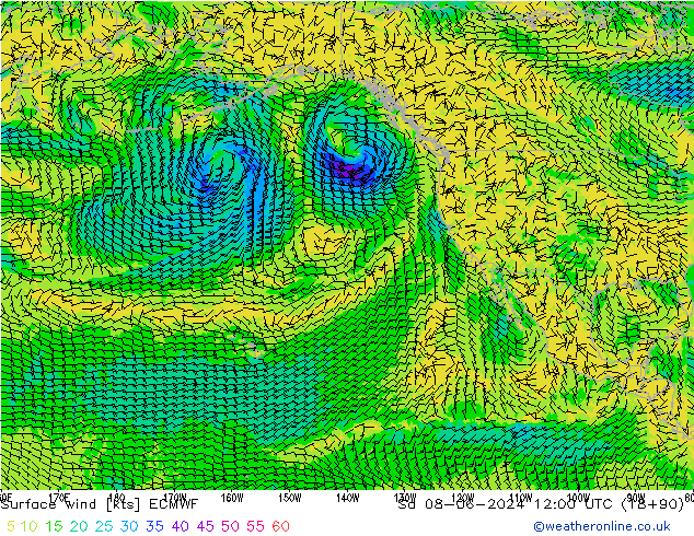 Surface wind ECMWF So 08.06.2024 12 UTC