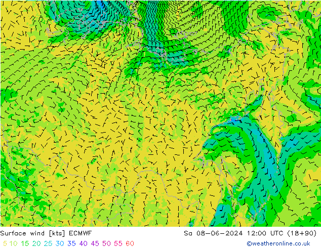 Surface wind ECMWF So 08.06.2024 12 UTC