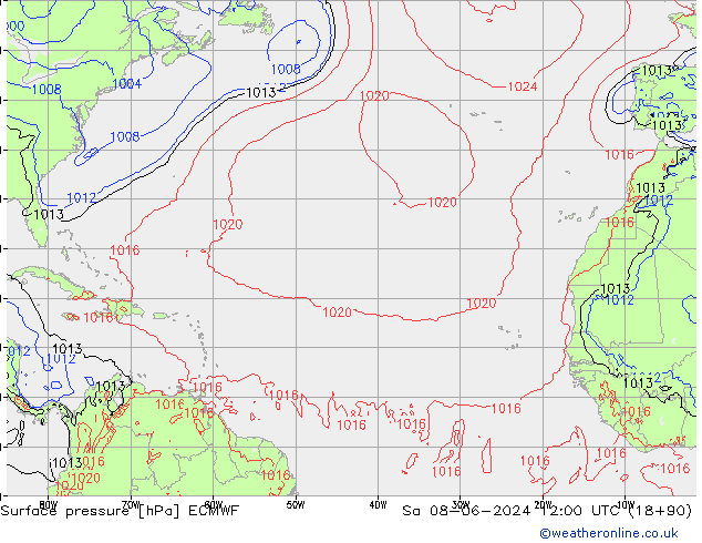 Bodendruck ECMWF Sa 08.06.2024 12 UTC