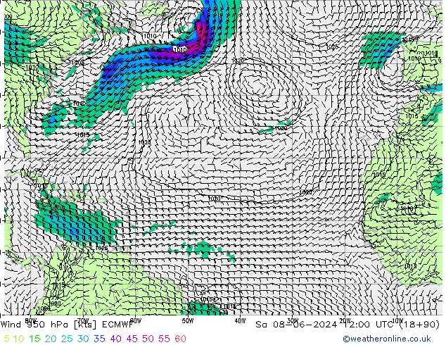 Rüzgar 950 hPa ECMWF Cts 08.06.2024 12 UTC