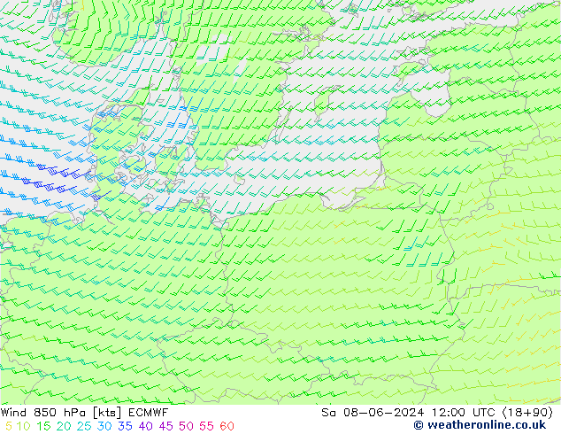 Wind 850 hPa ECMWF So 08.06.2024 12 UTC