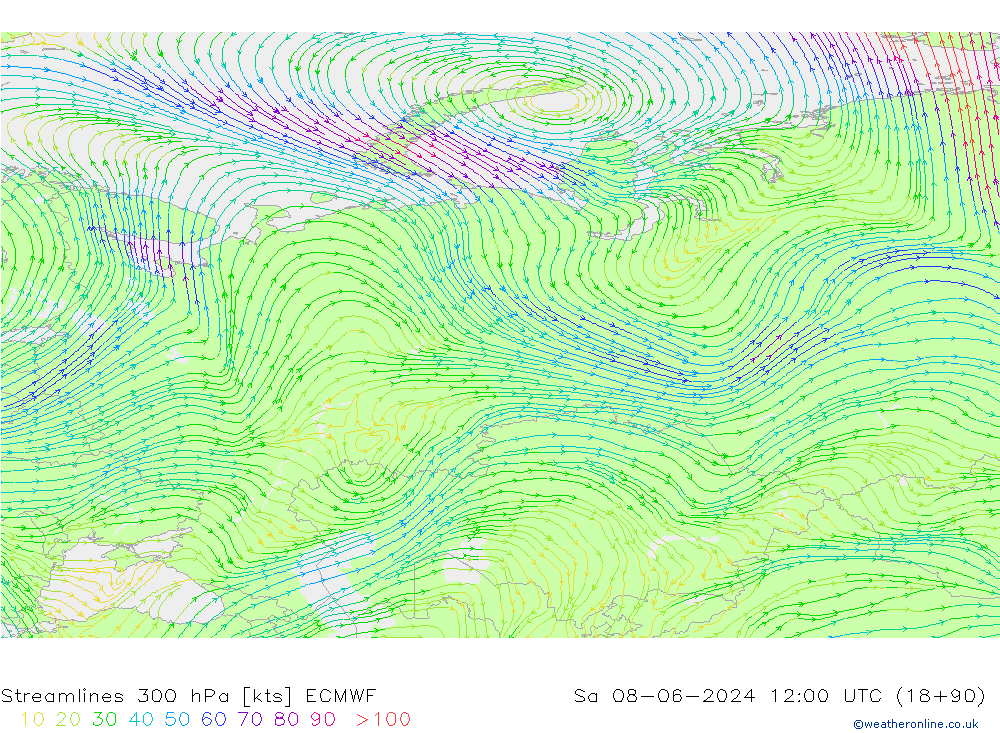 Stroomlijn 300 hPa ECMWF za 08.06.2024 12 UTC