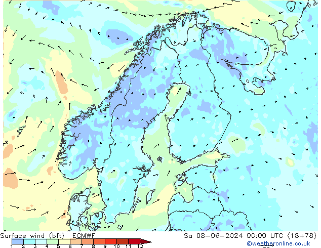 Surface wind (bft) ECMWF Sa 08.06.2024 00 UTC