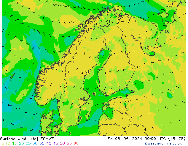 Vent 10 m ECMWF sam 08.06.2024 00 UTC