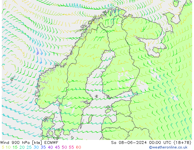 Viento 900 hPa ECMWF sáb 08.06.2024 00 UTC