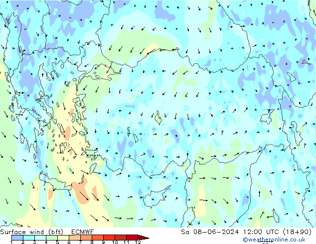  10 m (bft) ECMWF  08.06.2024 12 UTC