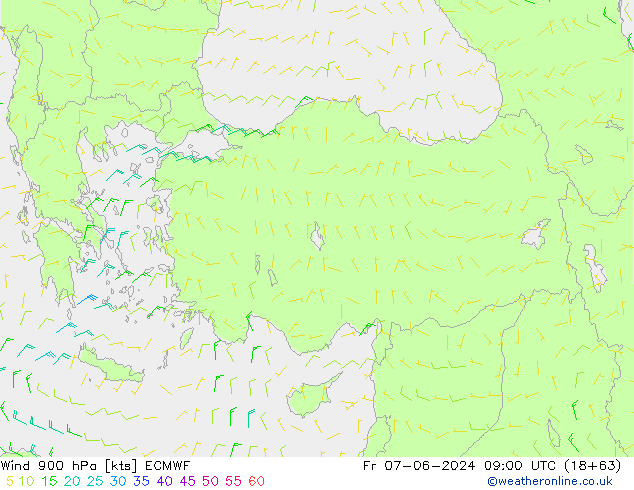 Rüzgar 900 hPa ECMWF Cu 07.06.2024 09 UTC