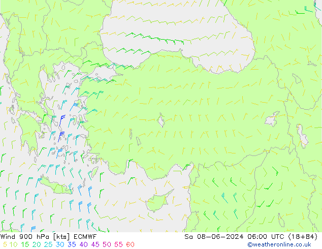 Wind 900 hPa ECMWF Sa 08.06.2024 06 UTC