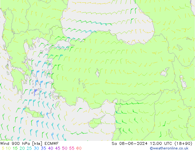 Vento 900 hPa ECMWF Sáb 08.06.2024 12 UTC