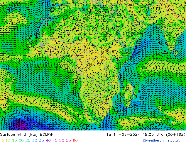 Surface wind ECMWF Tu 11.06.2024 18 UTC